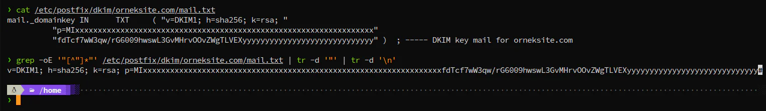 DKIM public key örnek çıktısı (mail.txt)